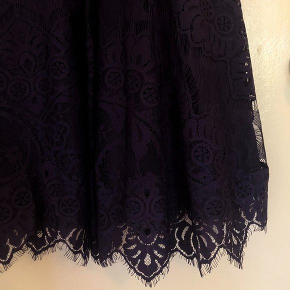 BB Dakota “Rhianna” Illusion Yoke Lace Dress - Picture 7 of 9